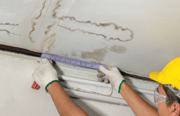 Reliable Water Damage Repair contractor in Louisiana, LA by Hirex Water Damage